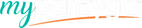 mypanzyga logo
