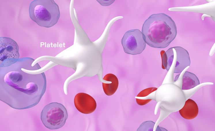 Platelet image